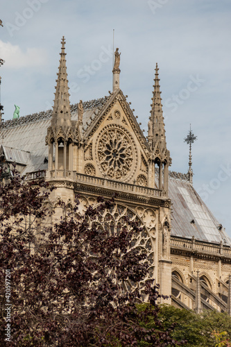 Beautiful Notre Dame Cathedral behind a tree with dark leaves