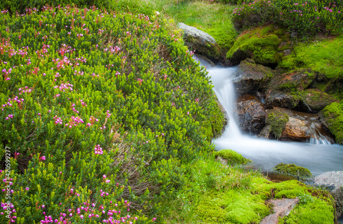 Timeless Cascading Water, Bitterroot Wilderness, Montana