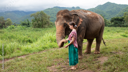 Girl stroking an elephant - North of Chiang Mai, Thailand. A girl is stroking an elephant in a sanctuary for old elephants.