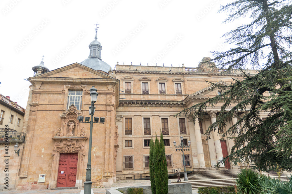 Fototapeta premium SALAMANCA PLAZA DE ANAYA