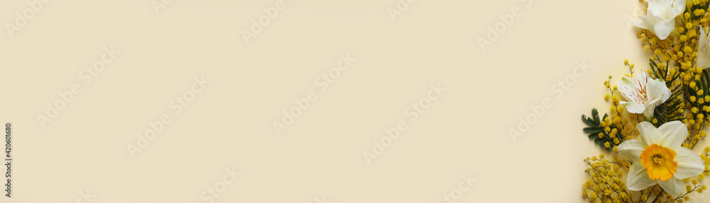 Obraz premium Beautiful floral composition with mimosa flowers on beige background, flat lay. Space for text