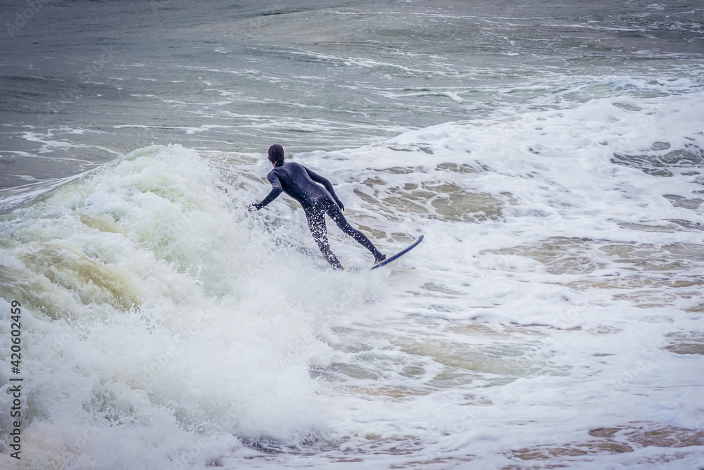 Obraz premium Surfer on La Concha Bay in San Sebastian city also known as Donostia, Spain