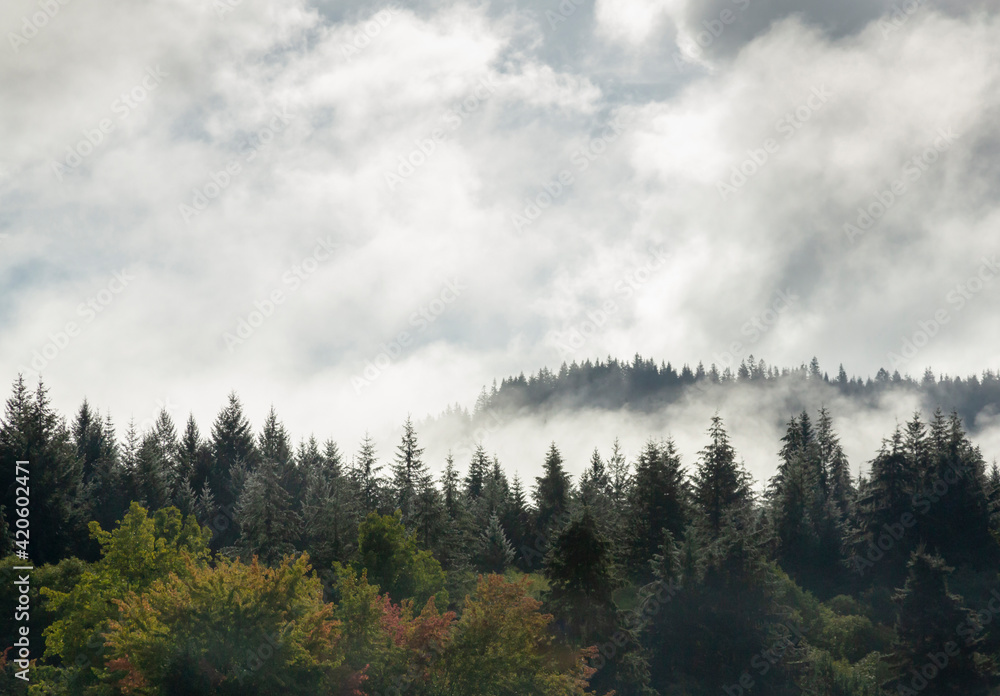 USA, Oregon. Foggy morning landscape.