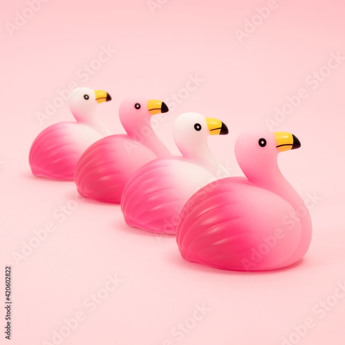 Rubber flamingos photo