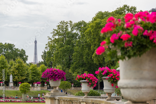 Beautiful flowers and trees with the Eiffel Tower in the distance