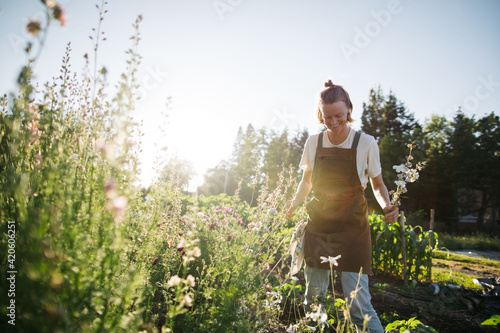 Farmer harvesting flowers for making and selling boquets photo