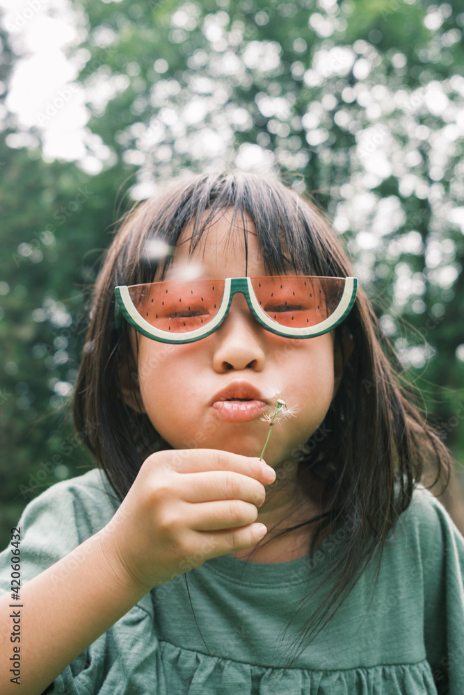 portrait of cute little girl blowing dandelion portrait of cute little girl blowing dandelion