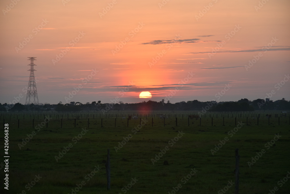 Naklejka premium Atardecer en los llanos de Colombia