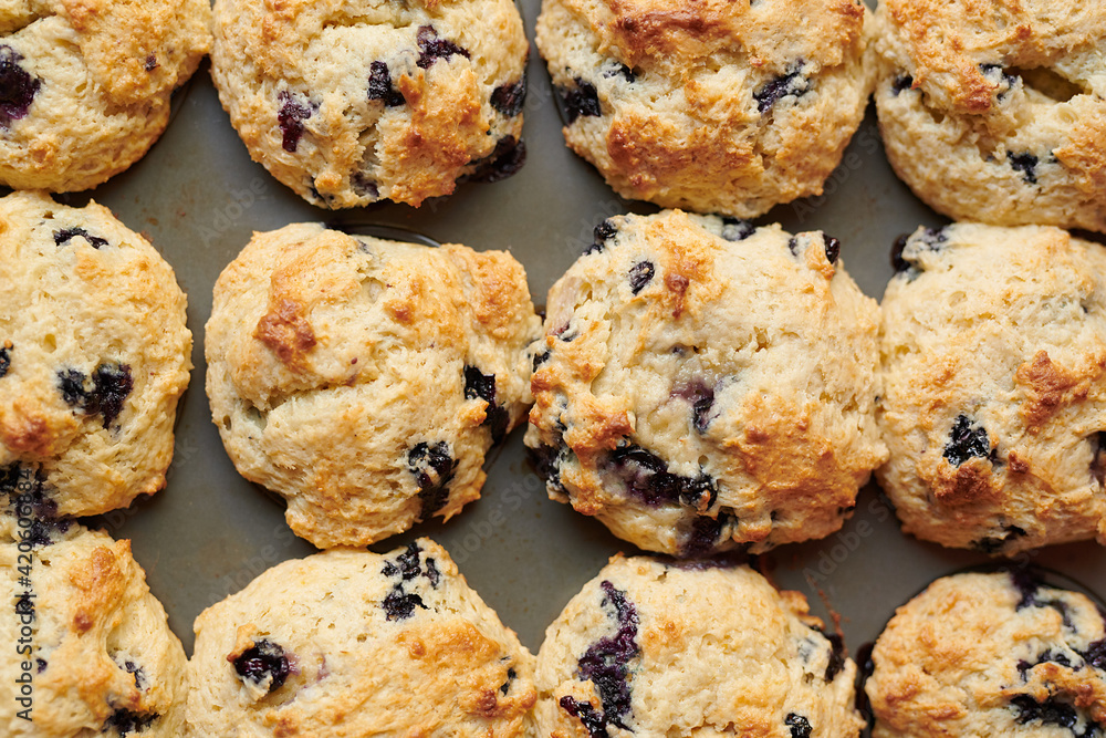 Closeup of Blueberry Muffins in Muffin Tin Closeup of Blueberry Muffins in Muffin Tin