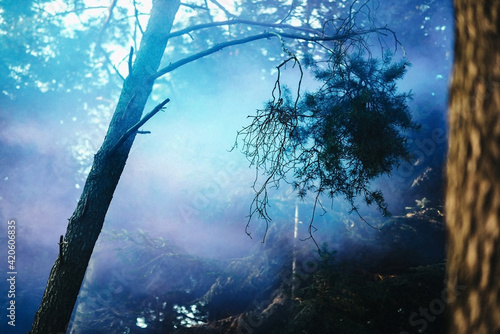 Pink smoke escaping the forest photo