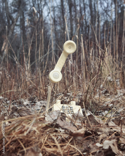 Mysterious Old Phone in Woods photo