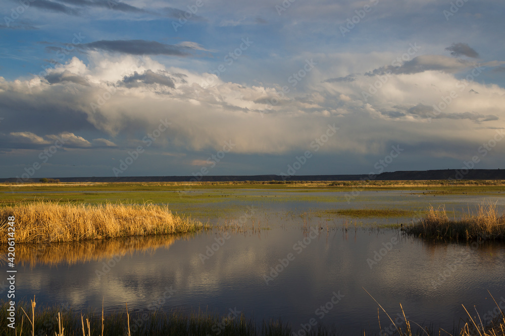 Spring storm over wetland