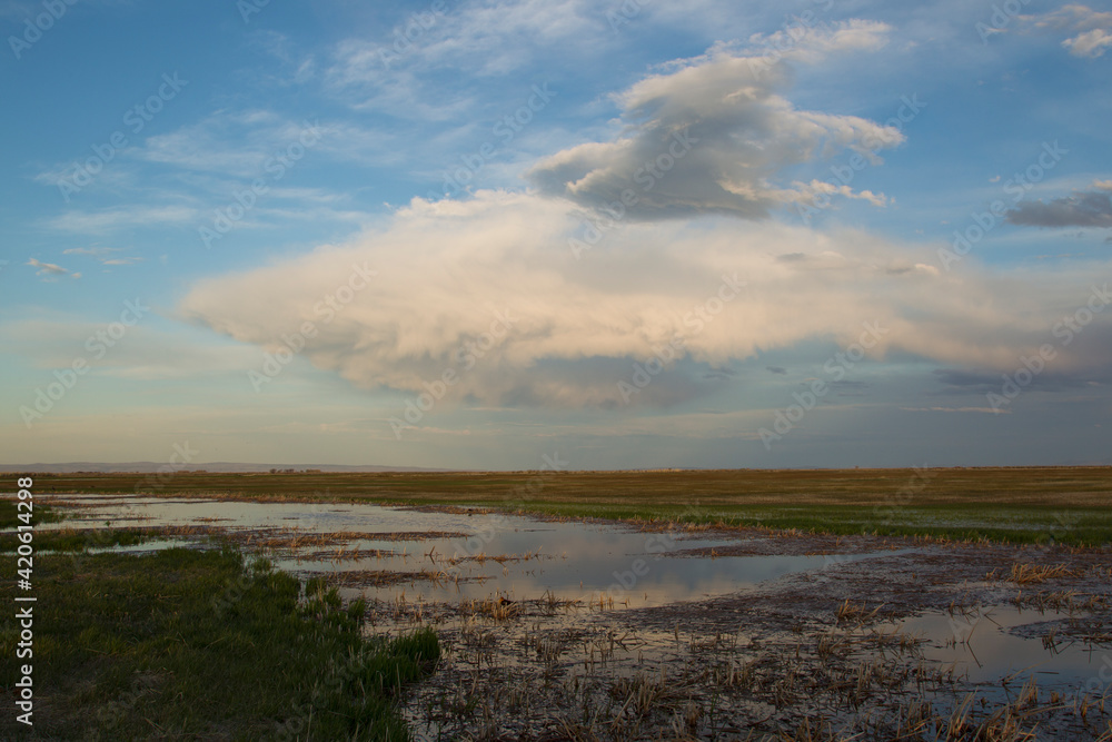 Spring storm clouds over wetland Spring storm clouds over wetland