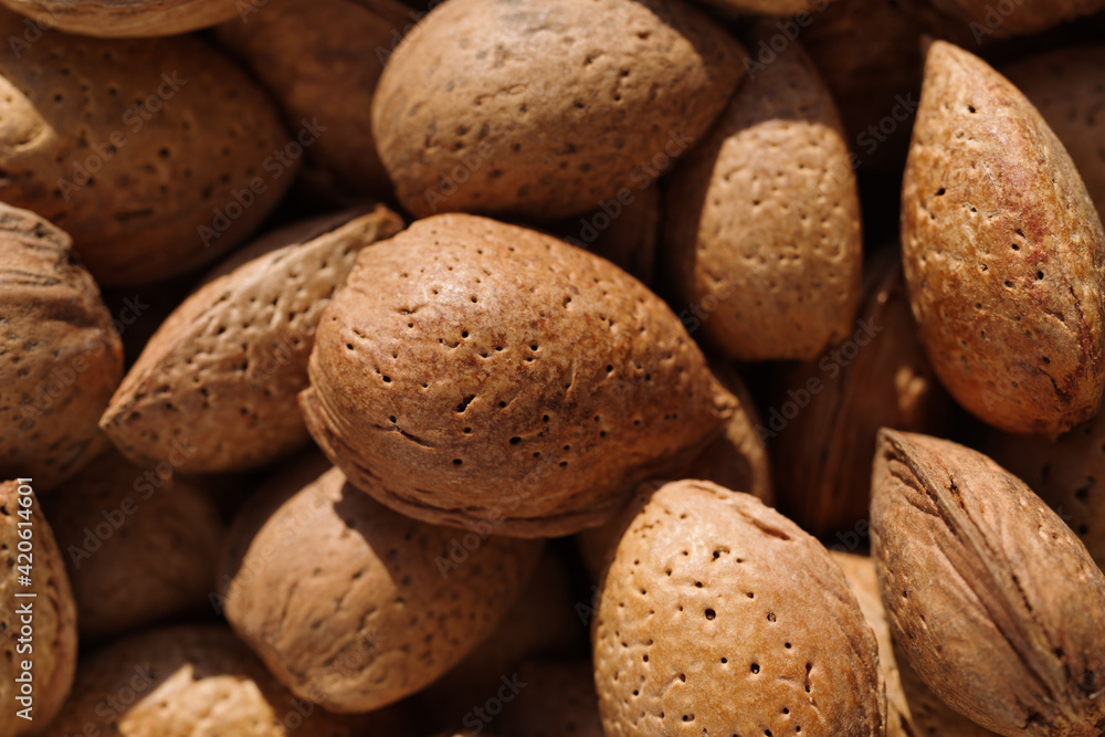 Almonds close up Almonds close up
