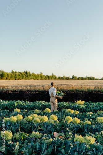 Wallpaper Mural Female farmer harvesting greens in field Torontodigital.ca