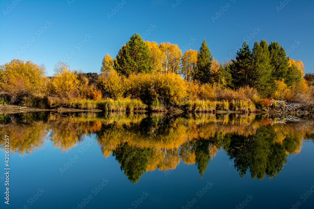 Autumn reflections, Dillon Falls Trail, Deschutes River, Deschutes National Forest, Oregon, USA