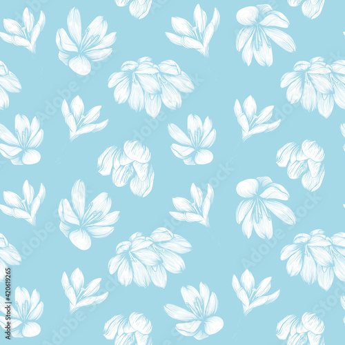 Saffron seamless pattern. Crocus flower on a blue background pattern. Hand-drawn vector illustration