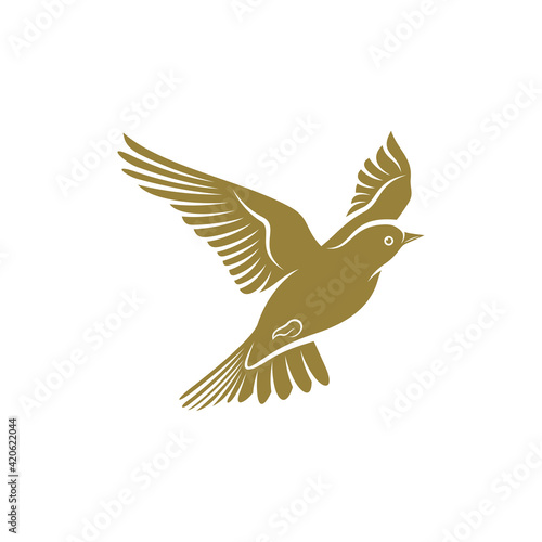 Lark bird design vector illustration, Creative Lark bird logo design concepts template, icon symbol photo