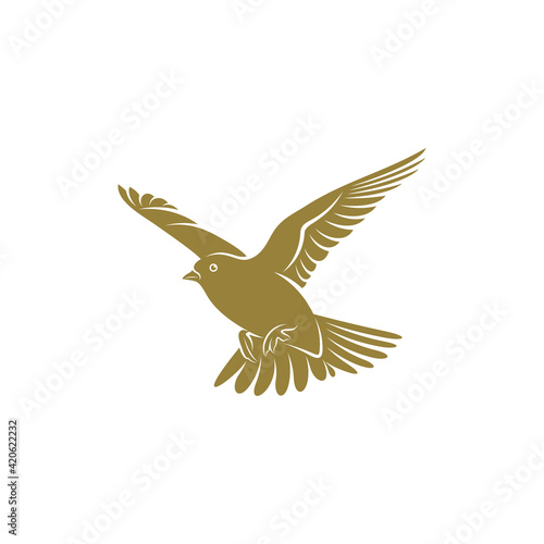 Lark bird design vector illustration, Creative Lark bird logo design concepts template, icon symbol
