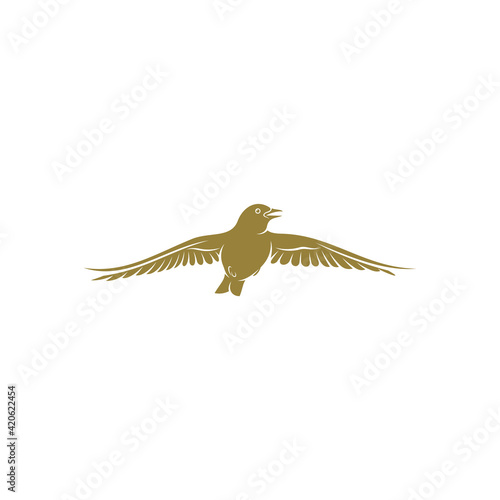 Lark bird design vector illustration, Creative Lark bird logo design concepts template, icon symbol