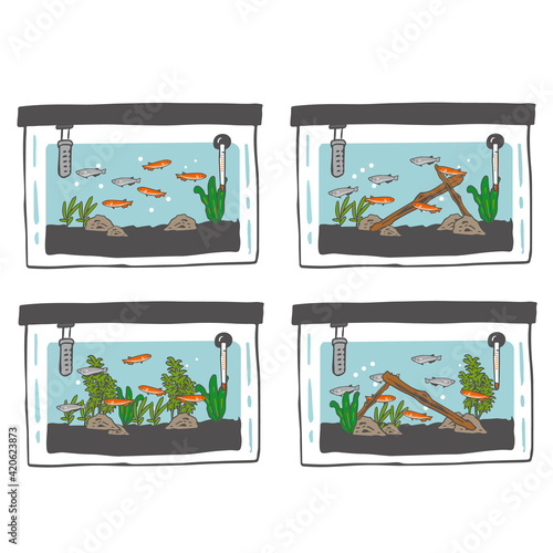 メダカ水槽 4パターン