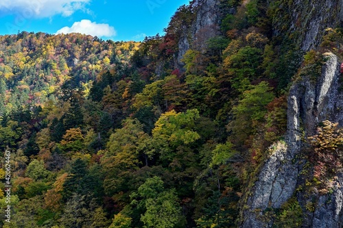 ちょうど見頃の豊平峡の紅葉情景＠北海道 © Scott Mirror