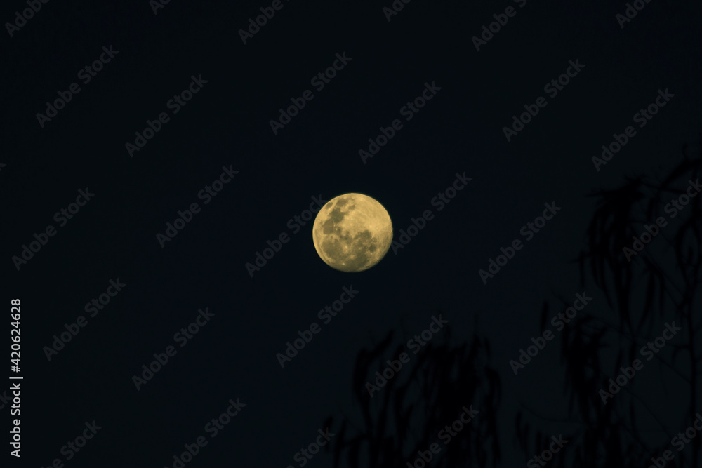full moon in the night full moon in the night