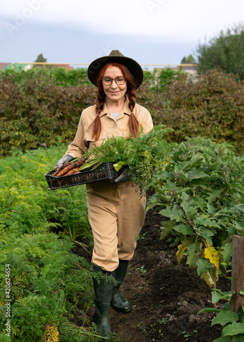 woman holding a box of freshly picked carrots