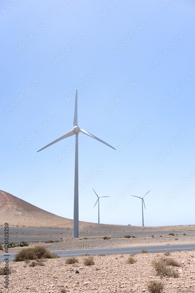 Windmill Turbines In The Desert. Windmill Turbines In The Desert.