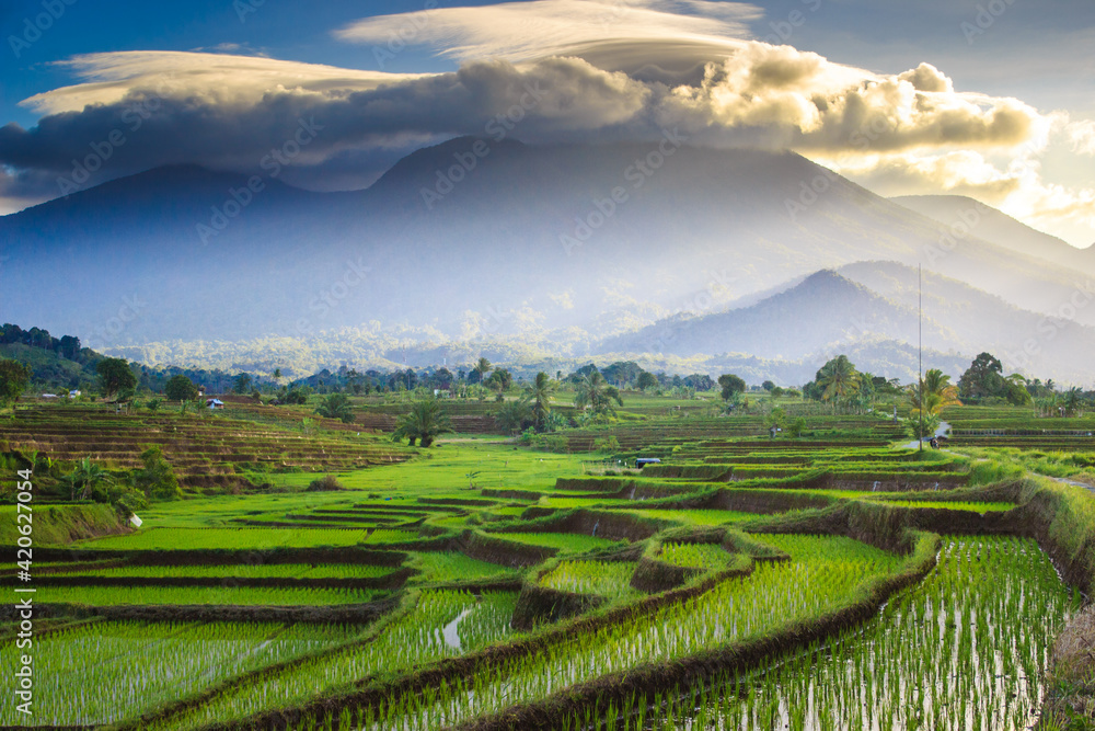 Beautiful mornings in the mountains and rice fields in Bengkulu, Indonesia