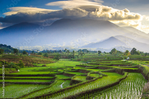 Beautiful mornings in the mountains and rice fields in Bengkulu, Indonesia