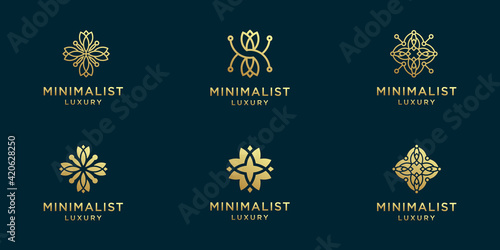 Set of abstract flower logo design