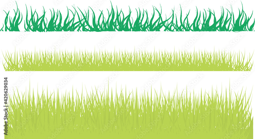 Fototapeta Fresh Green Grass Vector Background. Modern minimal design for social media, sale, advertisement, web.