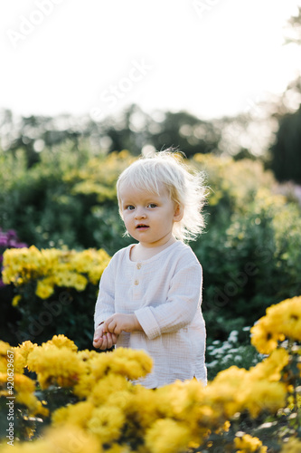 A little girl stands among the flowers in the garden photo