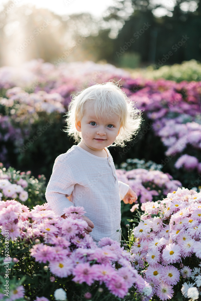 A little girl stands among the flowers in the garden A little girl stands among the flowers in the garden