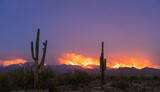 Arizona Desert Wildfire After Sunset