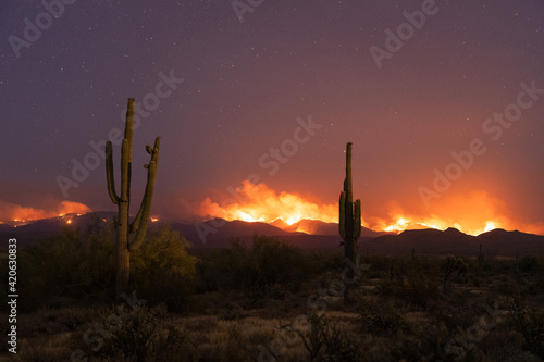 Wildfire at night in the Arizona desert