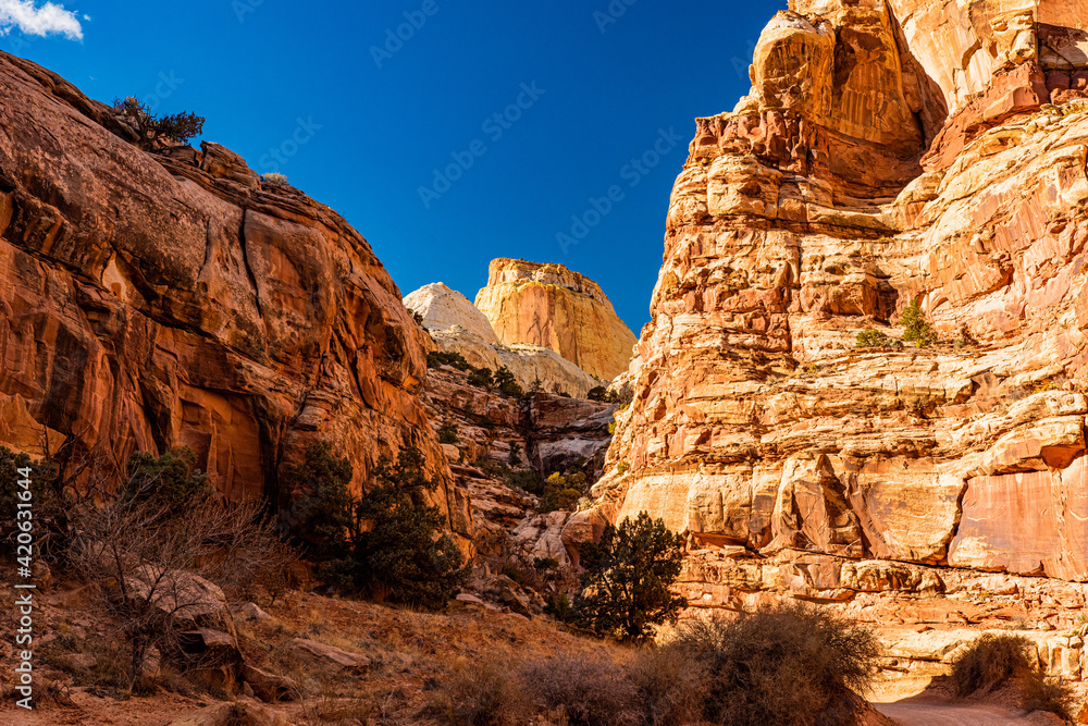 Obraz premium The Throne in Capital Reef National Park