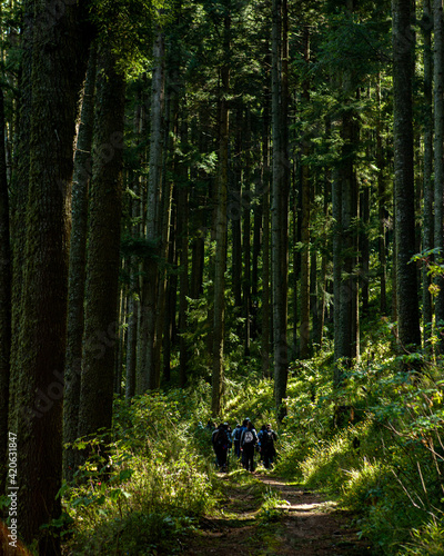 Small group of people hiking 