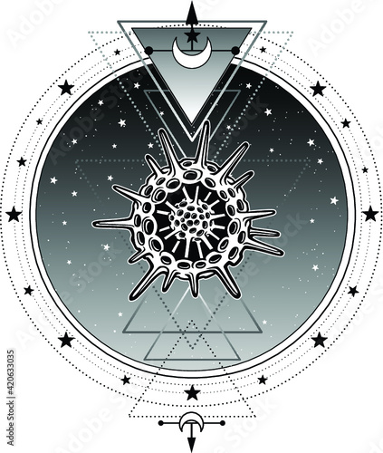Mystical symbols of origin of life radiolaria. Sacred geometry. Alchemy, magic, esoteric, occultism. Vector illustration isolated on a white background. Print, poster, t-shirt, card.