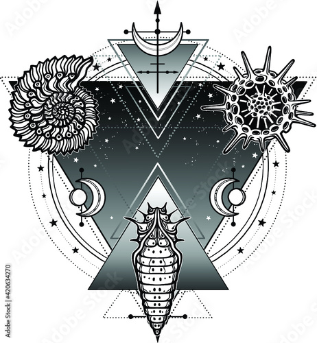 Mystical symbols of origin of life:  shell,  radiolaria, larva. Sacred geometry.  Alchemy, magic, esoterics, occultism. Vector illustration isolated on a white background. Print, poster, t-shirt, card