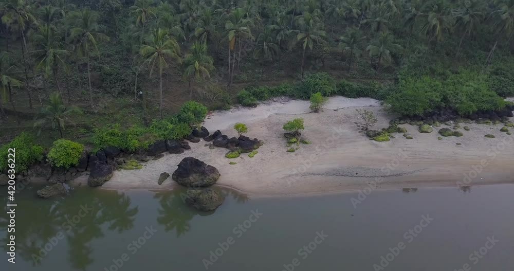Tranquility Of Nature With Dense Coconut Trees In Sandy Offshore And Still Lake At Galgibaga Beach, Canacona, South Goa, India. - Aerial Shot Tranquility Of Nature With Dense Coconut Trees In Sandy Offshore And Still Lake At Galgibaga Beach, Canacona, South Goa, India. - Aerial Shot
