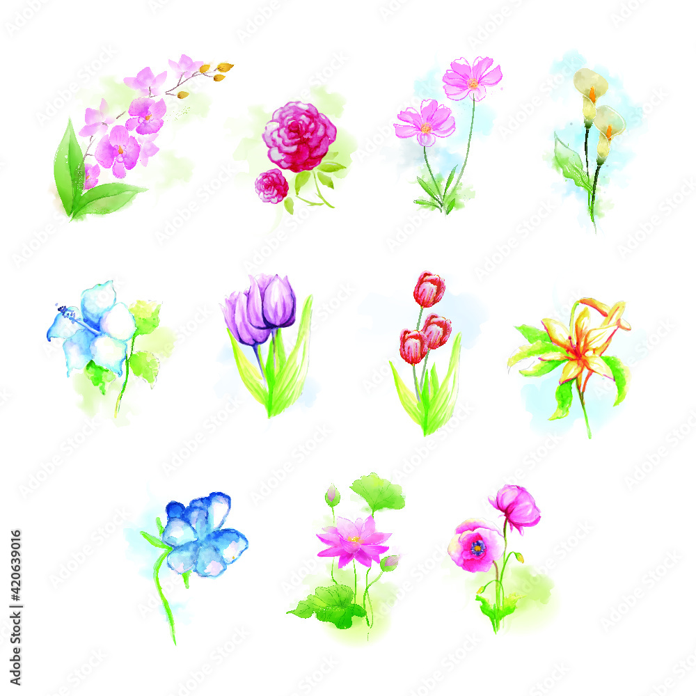 Watercolor Floral Flower set's