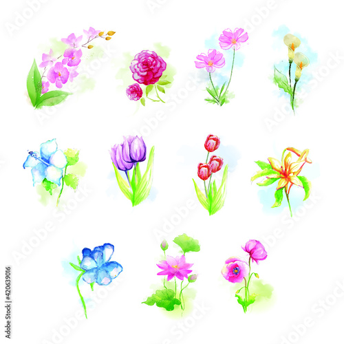 Fototapeta Naklejka Na Ścianę i Meble -  Watercolor Floral Flower set's
