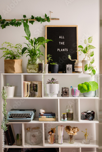 bookshelf with plants