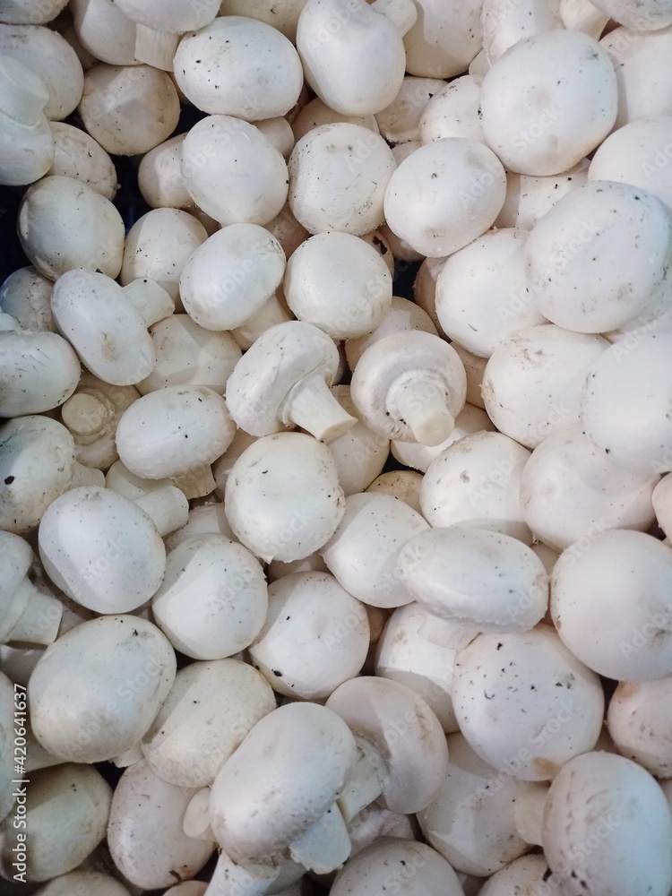 Champignon mushrooms in a box. Porcini mushrooms collected in a basket. Champignon mushrooms in a box. Porcini mushrooms collected in a basket.