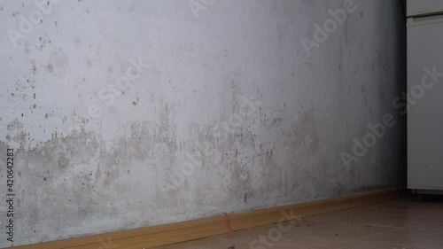 Black Mold Symptoms on the walls and ceiling. Moisture from water damage, water leaks, condensation, water infiltration, or flooding. Black mold in a residential building