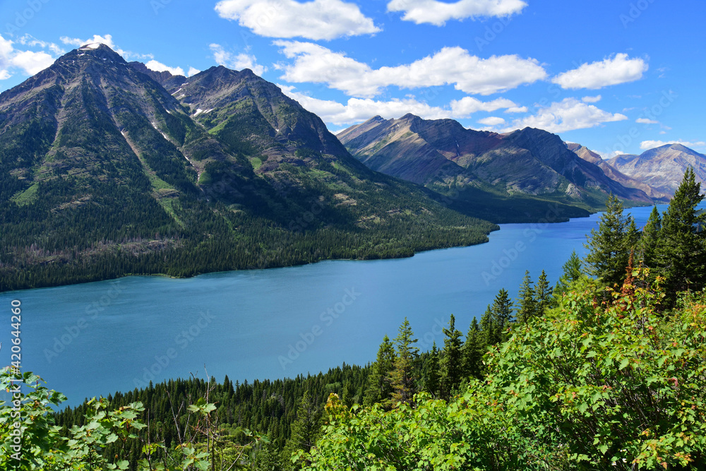 an incredible view in summer from the goat haunt hike  overlook in goat haunt, glacier national park, montana, over the mountains, forests, and water of waterton lakes national park in alberta, canada