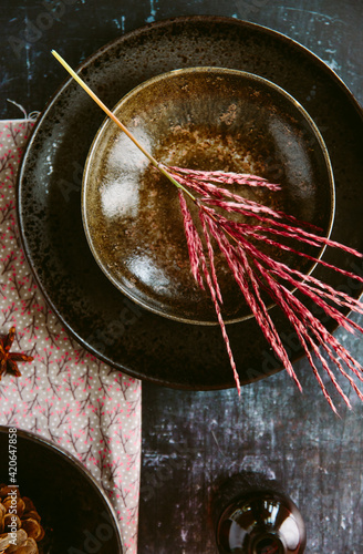 Richly coloured still life with Miscanthus flower. photo