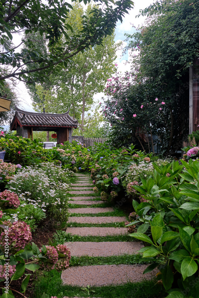 A small courtyard full of flowers in Yunnan A small courtyard full of flowers in Yunnan